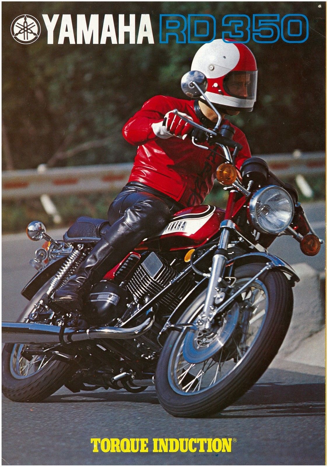 RD350 Facts - Interesting Facts