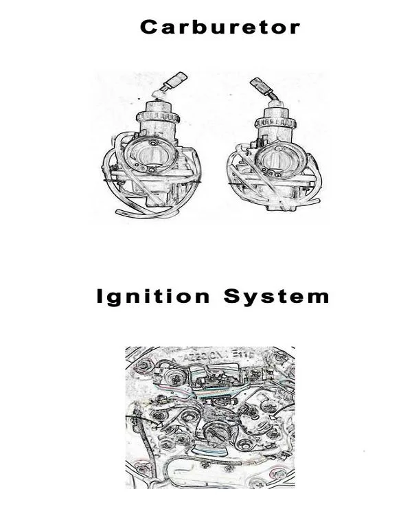 Two Stroke Carburetor And Ignition